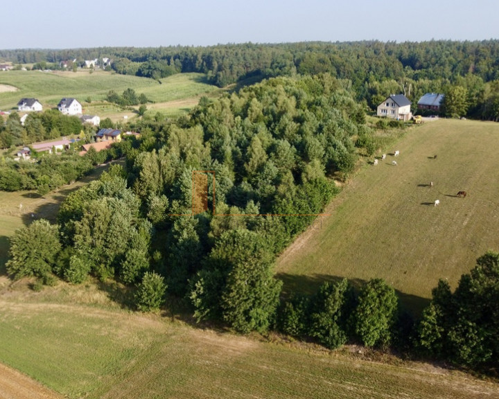 Działka Sprzedaż Miechucino Strysza Góra